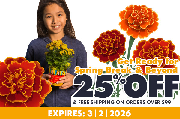Save 25% On Orders of $99  Use Code E5213