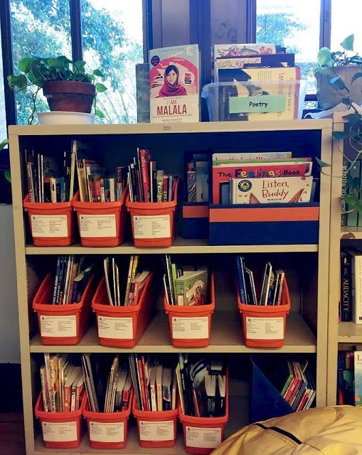custom library classrooms reading